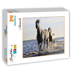 Grafika Kids (01245) - "Horses" - 24 pieces puzzle