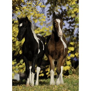 Nathan (86804) - "Horses" - 150 pieces puzzle