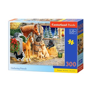 Castorland (B-030255) - "Gathering Friends" - 300 pieces puzzle