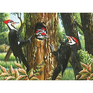 Cobble Hill (51719) - "Pileated Woodpeckers" - 1000 pieces puzzle