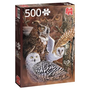 Jumbo (18346) - "Find the Owls" - 500 pieces puzzle