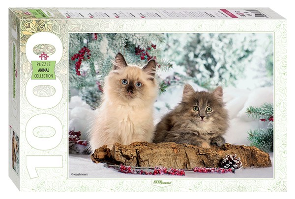 Step Puzzle (79089) - "Cats" - 1000 pieces puzzle
