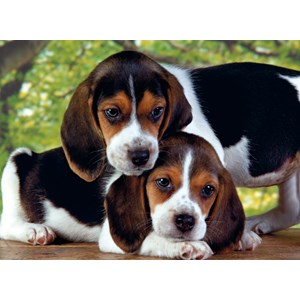 Clementoni (30289) - "Close Together" - 500 pieces puzzle