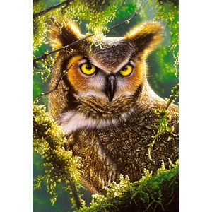Castorland (C-103577) - "Watching & Waiting, Owl" - 1000 pieces puzzle