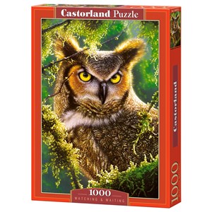 Castorland (C-103577) - "Watching & Waiting, Owl" - 1000 pieces puzzle