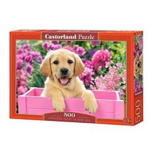 Castorland (B-52226) - "Labrador Puppy in Pink Box" - 500 pieces puzzle