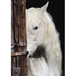 Schmidt Spiele (58278) - "Horse Beauty" - 1000 pieces puzzle