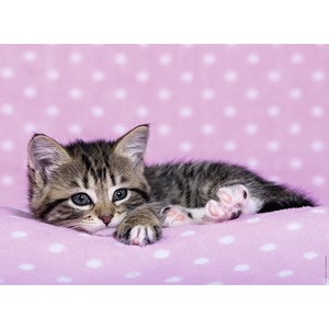 Ravensburger (12824) - "Kitten" - 200 pieces puzzle