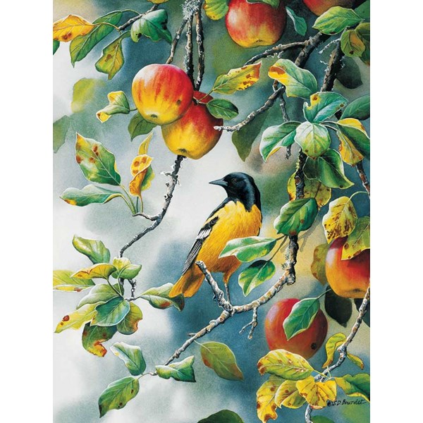 Cobble Hill (52061) - Susan Bourdet: "Northern Oriole" - 500 pieces puzzle