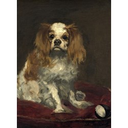 Grafika (01706) - Edouard Manet: "A King Charles Spaniel, 1866" - 2000 pieces puzzle