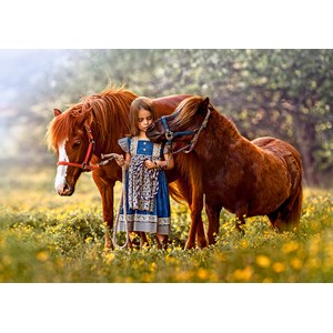 Castorland (B-52509) - "Beauty Within" - 500 pieces puzzle