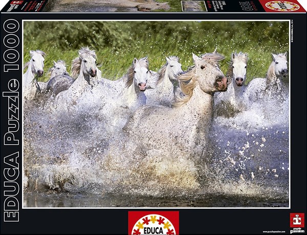 Educa (15988) - "Camargue horses" - 1000 pieces puzzle