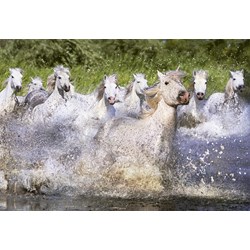 Educa (15988) - "Camargue horses" - 1000 pieces puzzle