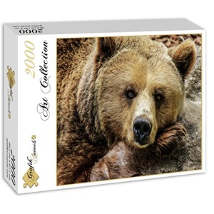 Grafika (01412) - "Bear" - 2000 pieces puzzle