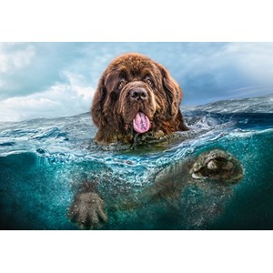 Castorland (C-103478) - "Big Brown" - 1000 pieces puzzle