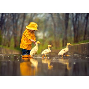 Castorland (B-52264) - "Rainy Day Friends" - 500 pieces puzzle