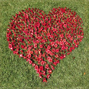 Puzzle Michele Wilson (Z81) - "I Love You" - 30 pieces puzzle