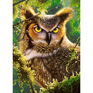 Castorland (B-030231) - "Watching & Waiting" - 300 pieces puzzle