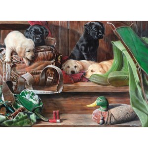 King International (05379) - "Puppies on Stairs" - 1000 pieces puzzle