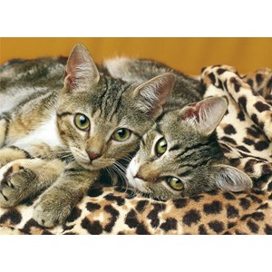 Clementoni (08103) - "Animals" - 500 1000 pieces puzzle