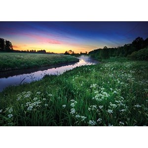 Tactic (40902) - "Summer Night" - 1000 pieces puzzle