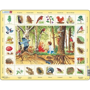 Larsen (NA4-FR) - "Forest (in French)" - 48 pieces puzzle