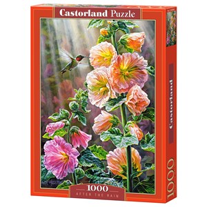 Castorland (C-103584) - "After the Rain" - 1000 pieces puzzle