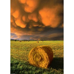 Heye (29550) - "Rising Storm" - 1000 pieces puzzle