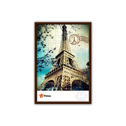 Pintoo (U1005) - "The Eiffel Tower and the Triumph Arch" - 48 pieces puzzle
