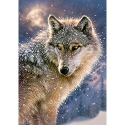 Castorland (B-52431) - "Lone Wolf" - 500 pieces puzzle