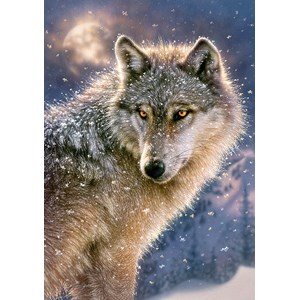 Castorland (B-52431) - "Lone Wolf" - 500 pieces puzzle