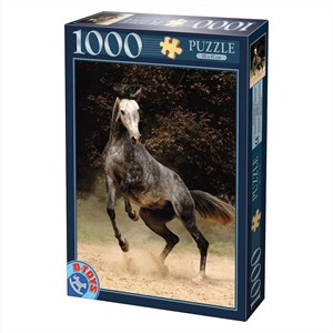 D-Toys (65988-PH02) - "Horses, Spotted Horse" - 1000 pieces puzzle
