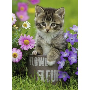 Ravensburger (10847) - "Kitten amongst the Flowers" - 100 pieces puzzle