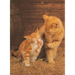 Clementoni (30205) - "Ginger Cats - Cork puzzle" - 500 pieces puzzle