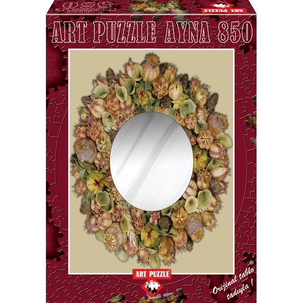 Art Puzzle (4264) - "Mirror" - 850 pieces puzzle