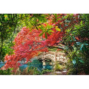 Castorland (C-103768) - "Japanese Garden" - 1000 pieces puzzle
