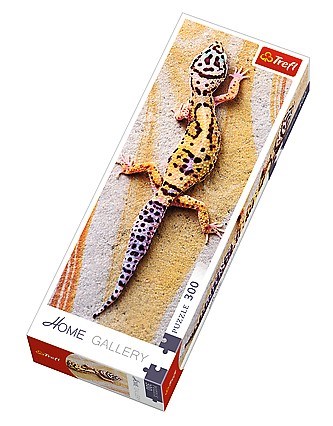 Trefl (75006) - "Basking Lizard" - 300 pieces puzzle