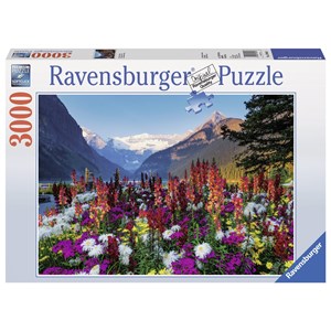 Puzzle 3000 pièces panoramique : Paysage Photo