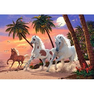 Castorland (C-151691) - "White Horses" - 1500 pieces puzzle