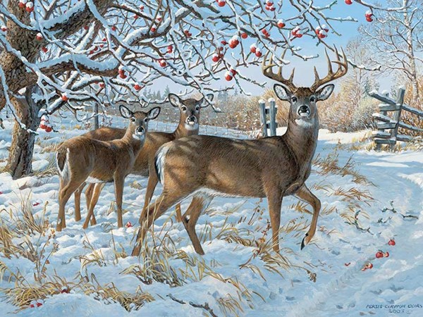 Cobble Hill (52083) - Persis Clayton Weirs: "Winter Deer" - 500 pieces puzzle