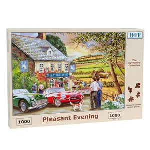 The House of Puzzles (4067) - "Pleasant Evening" - 1000 pieces puzzle