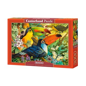 Castorland (C-300433) - David Galchutt: "Interlude" - 3000 pieces puzzle