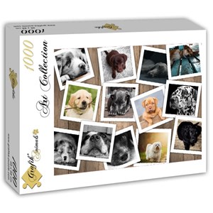 Grafika (T-00380) - "Dogs" - 1000 pieces puzzle