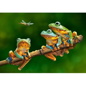 Castorland (B-52301) - "The Frog Companions" - 500 pieces puzzle
