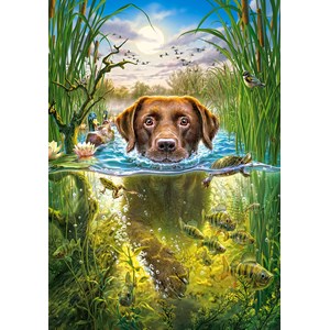 Castorland (B-52882) - "Swimming Dog" - 500 pieces puzzle
