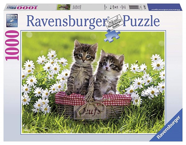 Ravensburger (19480) - "Picnic on the meadow" - 1000 pieces puzzle