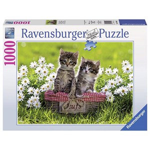 Ravensburger (19480) - "Picnic on the meadow" - 1000 pieces puzzle