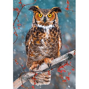 Castorland (B-52387) - "Great Horned Owl" - 500 pieces puzzle
