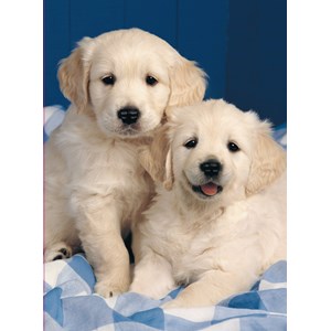 Ravensburger 14238 Golden Retriever 500 Pieces Puzzle