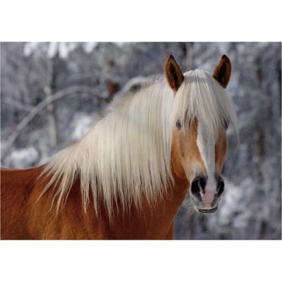D-Toys (65933-HH01) - "Haflinger I" - 239 pieces puzzle
